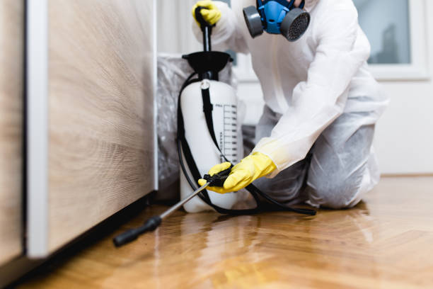 Professional Pest Control in Colfax, LA
