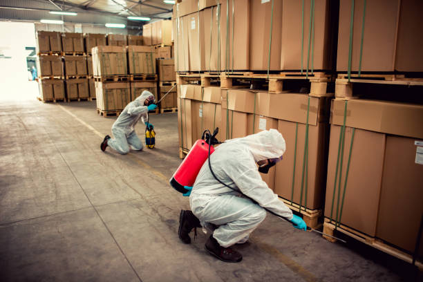 Best Bed Bug Extermination  in Colfax, LA