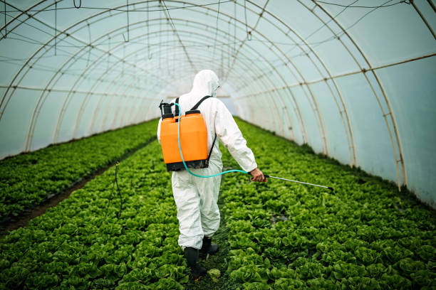 Best Ant Control Services  in Colfax, LA