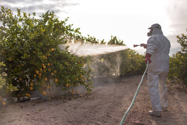 Best Emergency Pest Control  in Colfax, LA