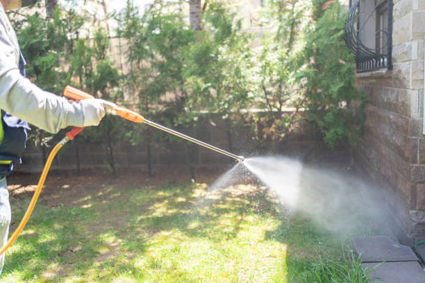 Best Flea Control Services  in Colfax, LA