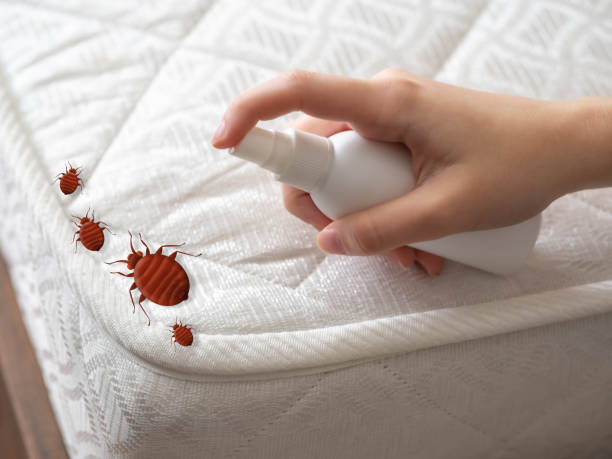 Best Pest Prevention Services  in Colfax, LA