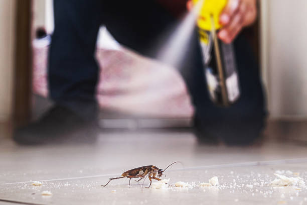 Pest Prevention Services in Colfax, LA